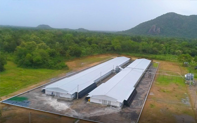 Delmo Hatchery