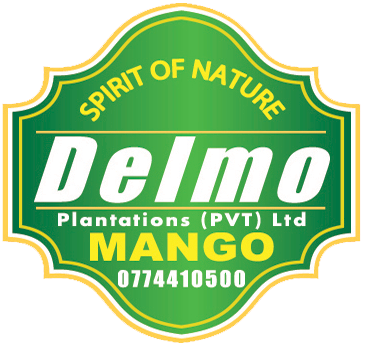 Delmo Mango Logo