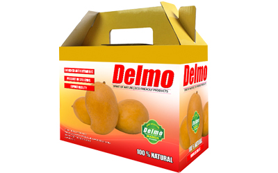 Delmo Future Products